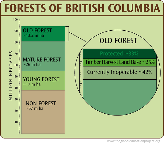 Chart of Forests of British Columbia - The Global Education Project