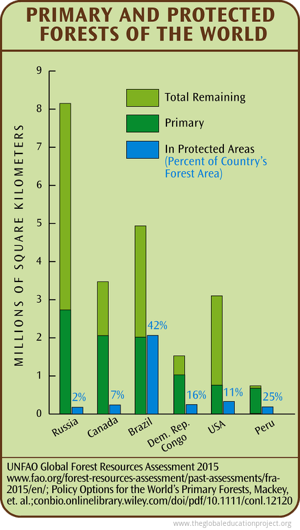 Primary and Protected Forests