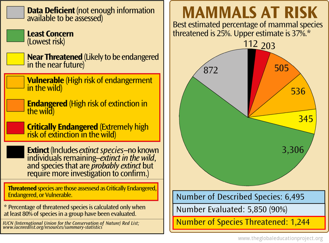 Mammals at Risk of Extinction