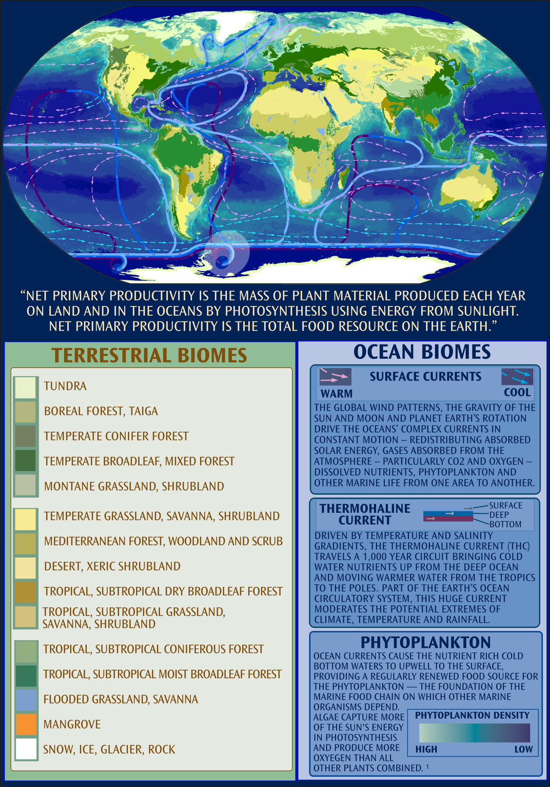 Terrestrial Biomes Map 708x833 Terrestrial Biomes Map 708x833