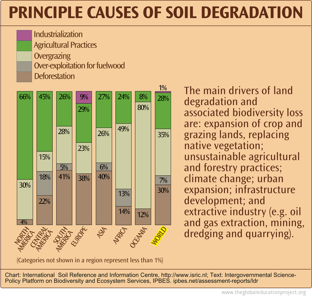 Principal Causes of Soil Degradation