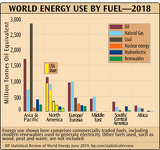 World Energy Use By Fuel