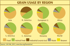 Grain Usage by Region