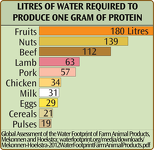 Water Required by Food Type