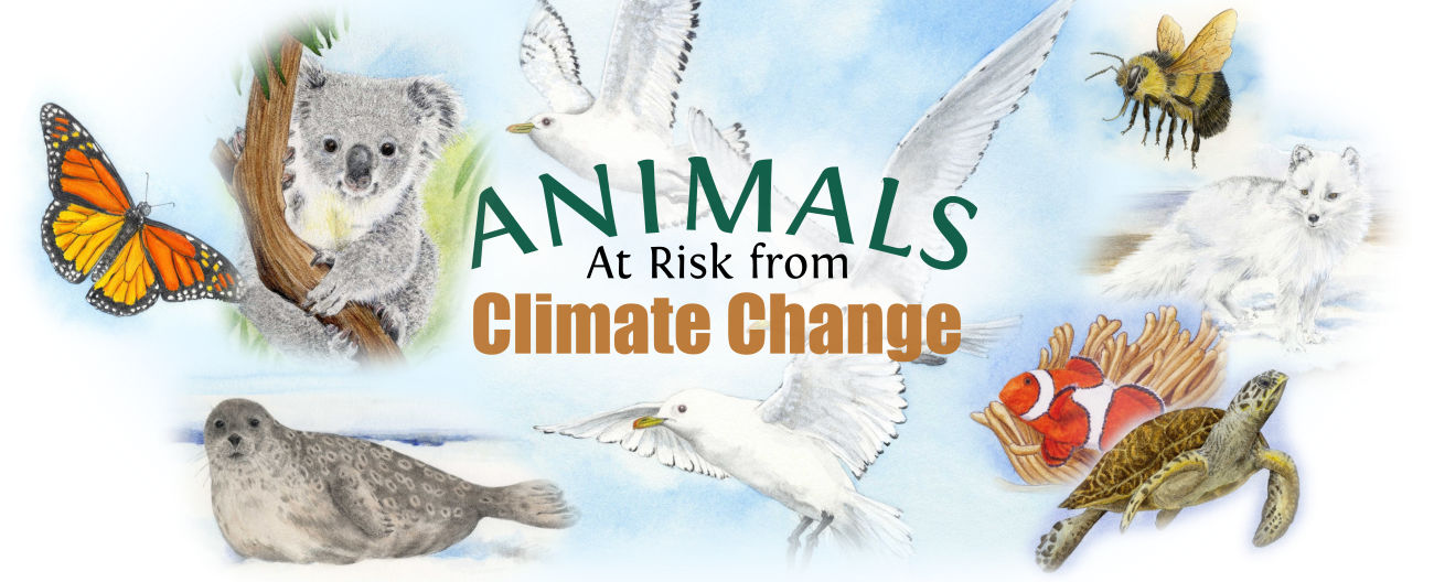 Animals Affected by Climate Change - Animals Affected by Climate Change