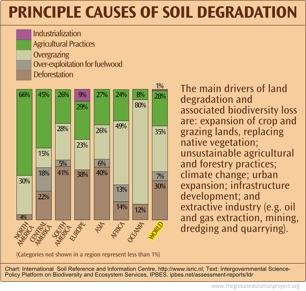 Chart Of Principal Causes Of Soil Degradation The Global Education