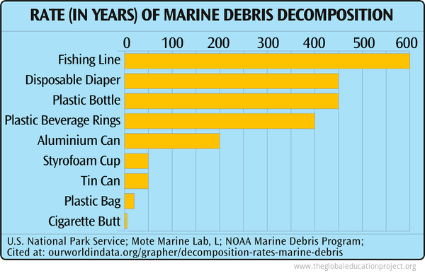 Chart Of Marine Debris Decomposition - The Global Education Project