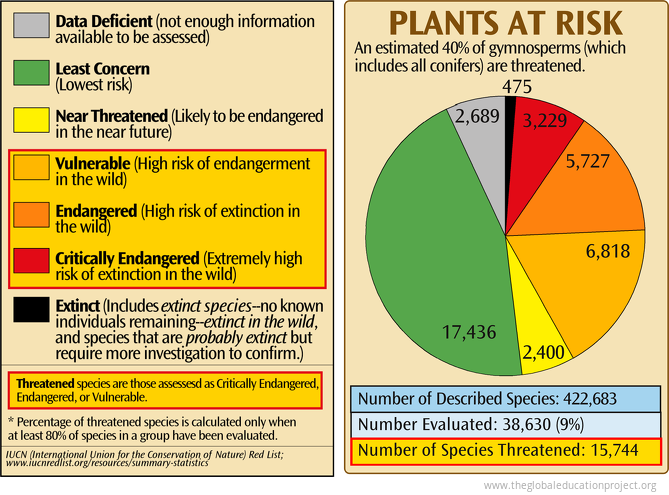 Chart Of Plants At Risk Of Extinction The Global Education Project