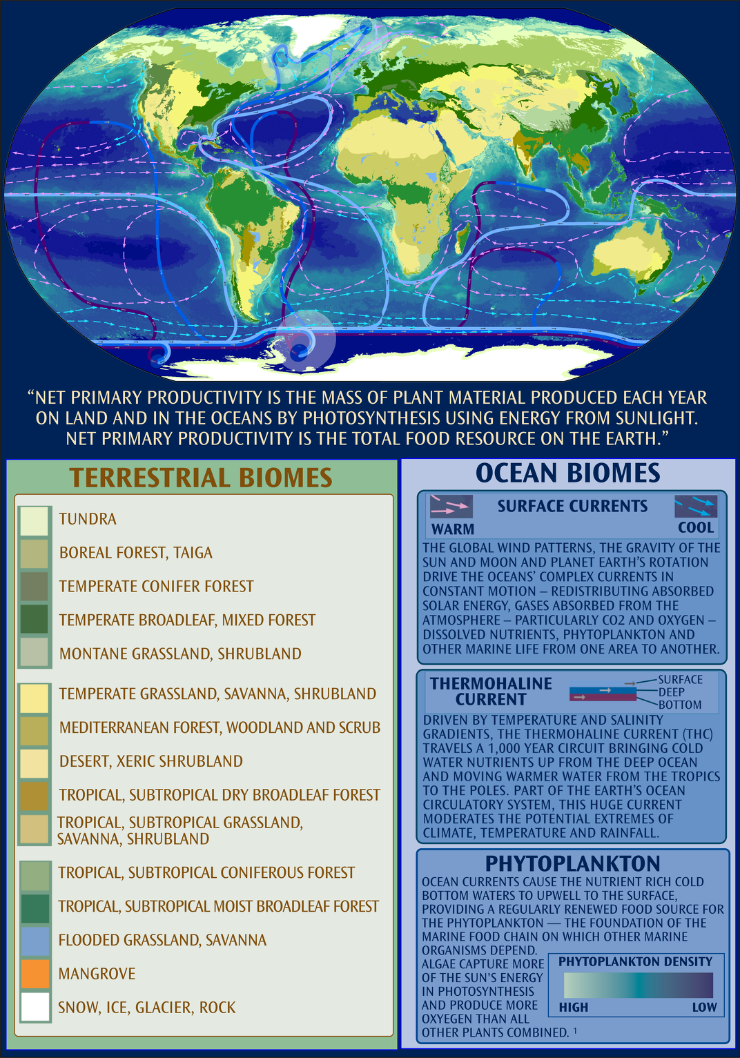 Terrestrial and Ocean Biomes