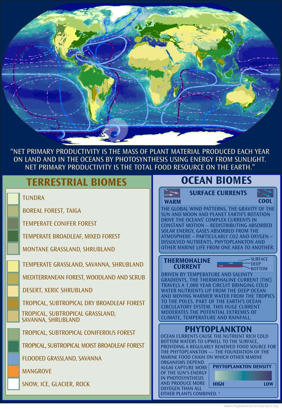 Terrestrial and Ocean Biomes