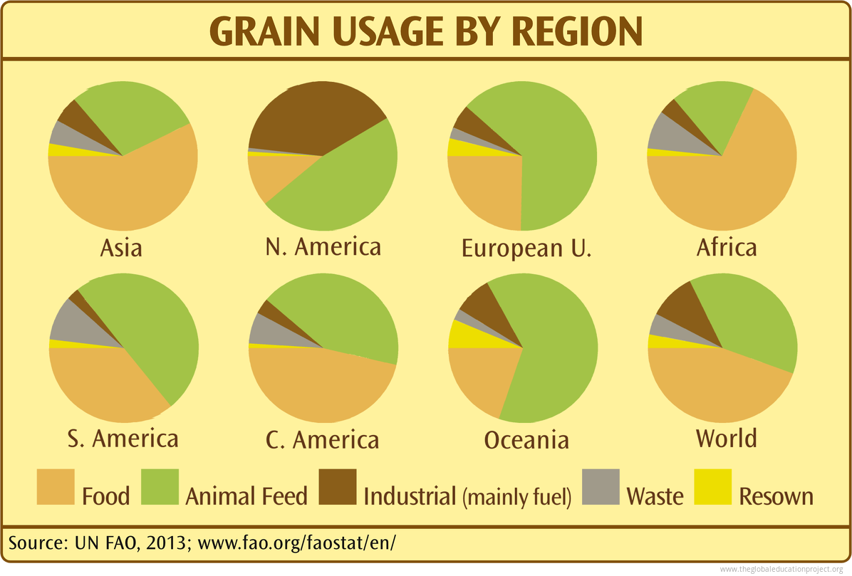 chart-of-grain-usage-by-region-the-global-education-project