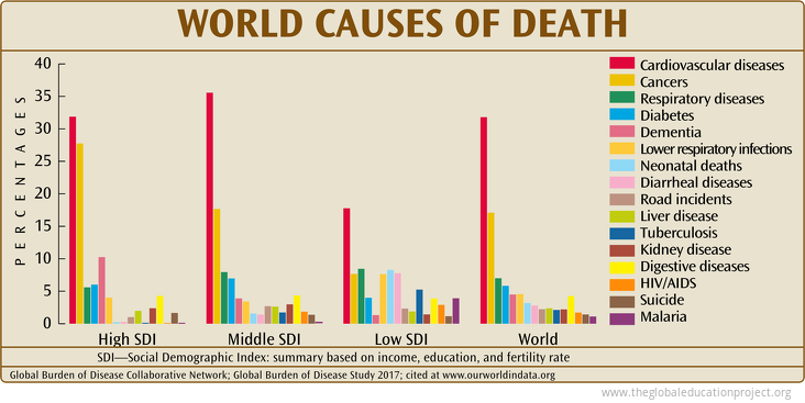 World Causes of Death