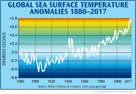 Global Sea Surface Temperature