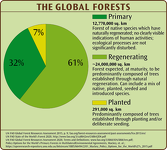 Global Forest