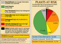 Plants at Risk of Extinction