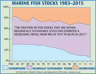 Marine Fish Stocks