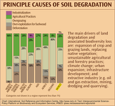 Principal Causes of Soil Degradation