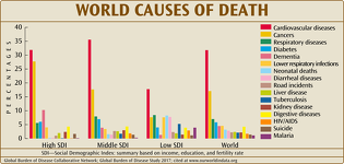 World Causes of Death