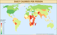 Daily Calories per Person