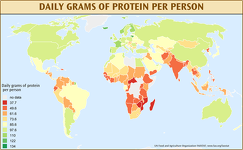 Daily Grams of Protein