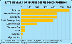 Marine Debris Decomposition
